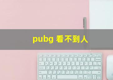 pubg 看不到人